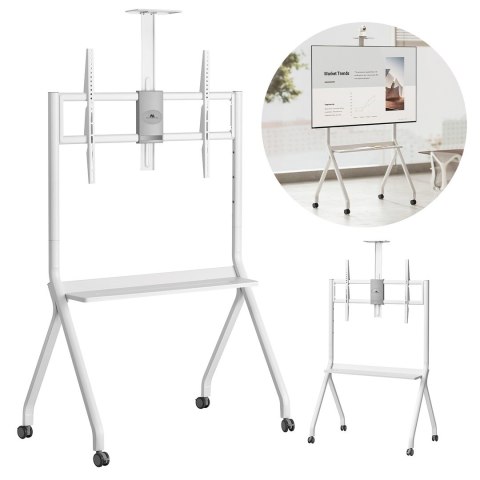 MACLEAN STAND / WÓZEK DO TV, PÓŁKA NA KAMERĘ, NA KÓŁKACH, 55-100", MAX. OBCIĄŻENIE 120KG/10KG PÓŁKA, MAX. VESA 900X600 MC-114