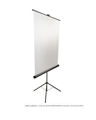 Ekran na statywie Tripod Standard 150 (1:2, 150x150cm, powierzchnia biała, matowa)