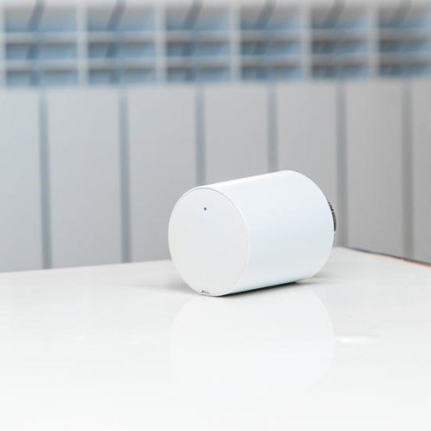 Inteligentna głowica termostatyczna Shelly TRV WiFi/Bluetooth, 2 sztuki