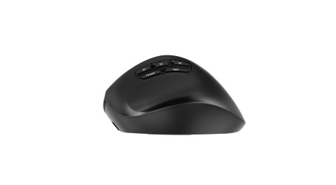 GEMBIRD BEZPRZEWODOWA, ERGONOMICZNA MYSZ TRI MODE (2.4G + BT + USB) 2400 DPI, 9 PRZYCISKÓW, CZARNA