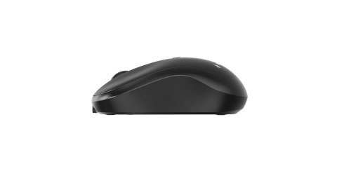 GEMBIRD MYSZ BEZPRZEWODOWA DUAL MODE (2.4G + BT) 1600 DPI, 4 PRZYCISKI, KOLOR CZARNY