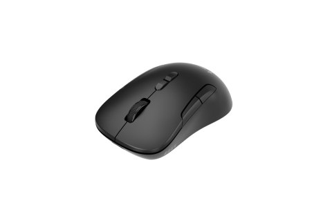 GEMBIRD MYSZ BEZPRZEWODOWA DUAL MODE (2.4G + BT) 1600 DPI, 7 PRZYCISKÓW, KOLOR CZARNY