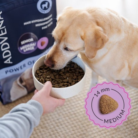 ADDVENA POWER OF NATURE dla starszych psów średnich i dużych ras 10kg (OUTLET)