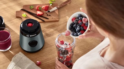 Blender kielichowy Bosch VitaPower Serie 2 MMB2111S 0,6l | 450W | srebrny