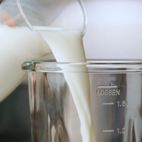 Blender kielichowy Taurus Optima Go + kubek 1500W | 1,5L
