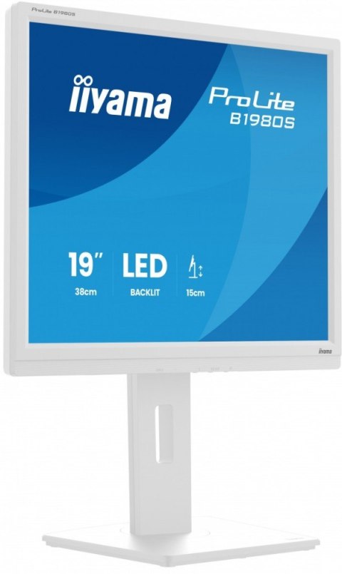 Monitor 19 cali B1980S-W1 HDMI, DP, PIVOT, HAS/150mm